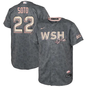 toddler nike juan soto gray washington nationals 2022 city connect replica player jersey